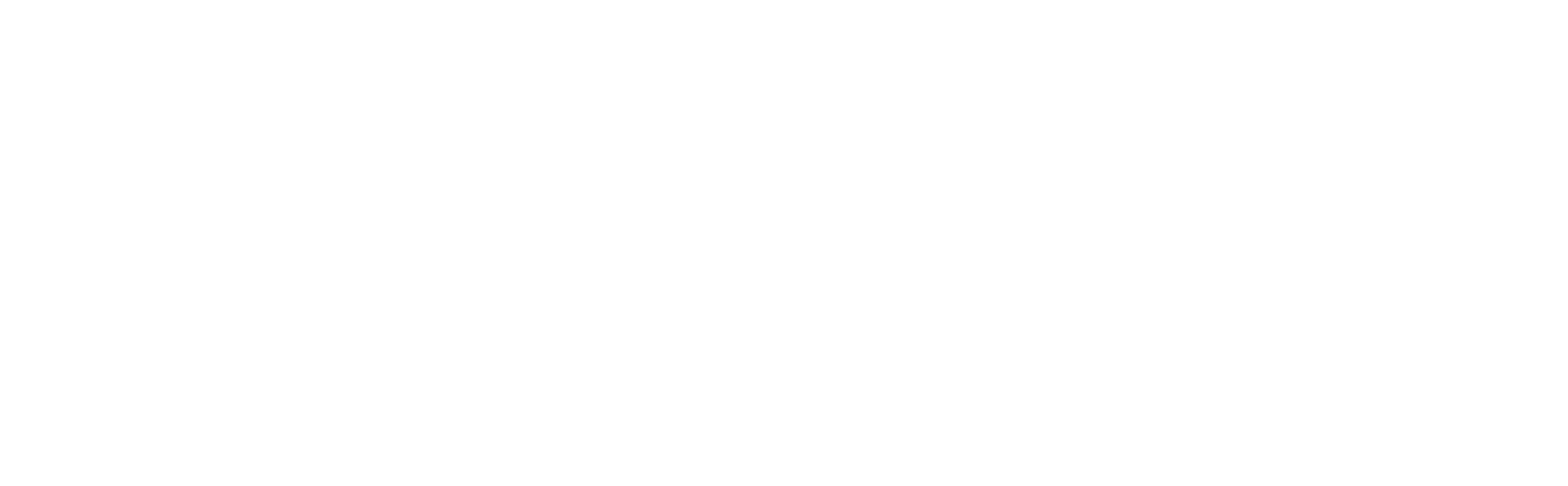 Ansys